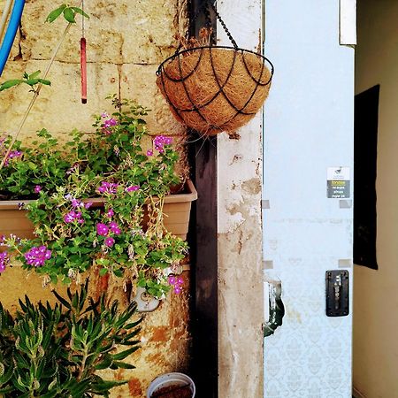 بيت شباب Polihosts Old Jaffa تل أبيب المظهر الخارجي الصورة