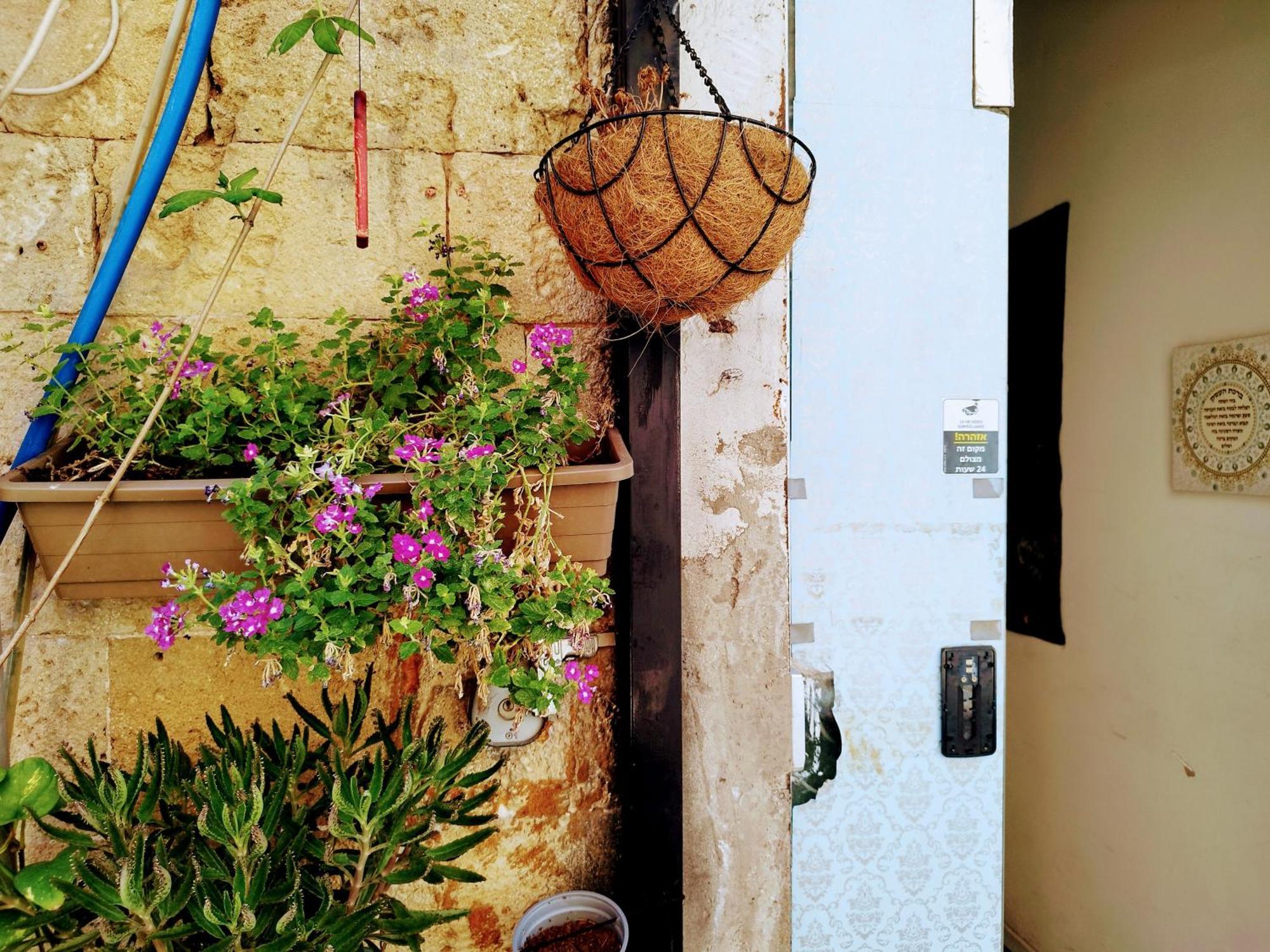 بيت شباب Polihosts Old Jaffa تل أبيب المظهر الخارجي الصورة